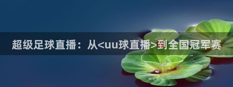 新闻图片