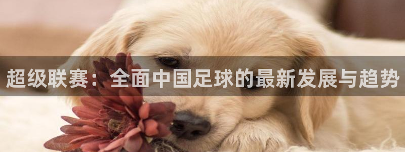 超级联赛：全面中国足球的最新发展与趋势