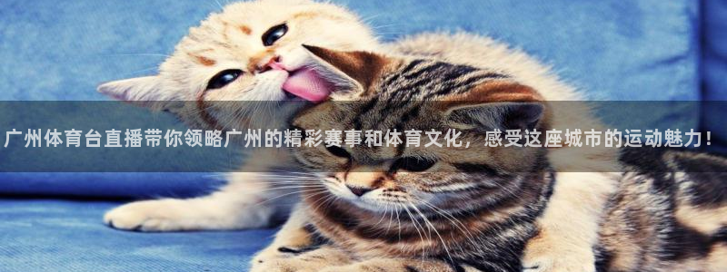 广州体育台直播带你领略广州的精彩赛事和体育文化，感受这座城市的运动魅力！