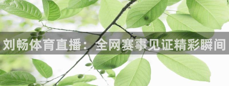 刘畅体育直播：全网赛事见证精彩瞬间