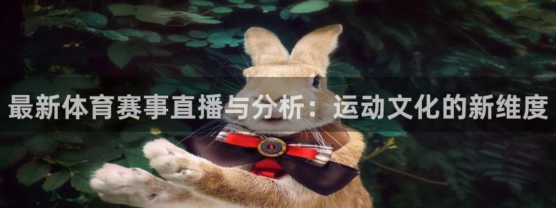 最新体育赛事直播与分析：运动文化的新维度