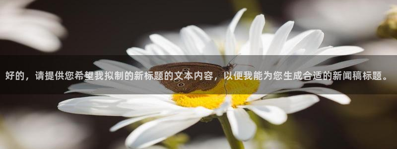 新闻图片