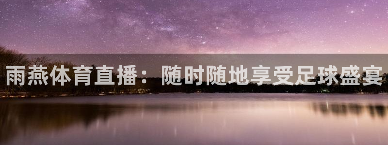 雨燕体育直播：随时随地享受足球盛宴