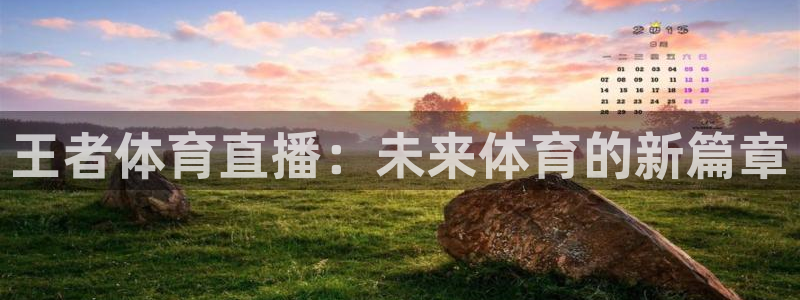 王者体育直播：未来体育的新篇章